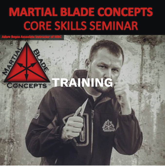 What is Fighting Fitness and Why Should You Work Towards It?